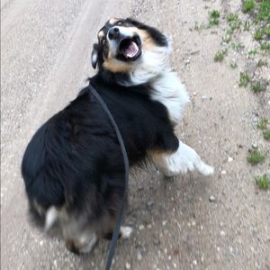 Meet your Posher, Makayla